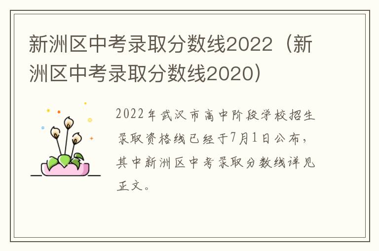 新洲区中考录取分数线2022（新洲区中考录取分数线2020）