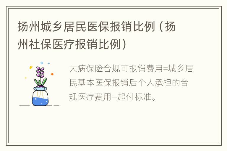 扬州城乡居民医保报销比例（扬州社保医疗报销比例）