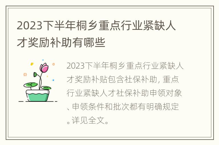 2023下半年桐乡重点行业紧缺人才奖励补助有哪些