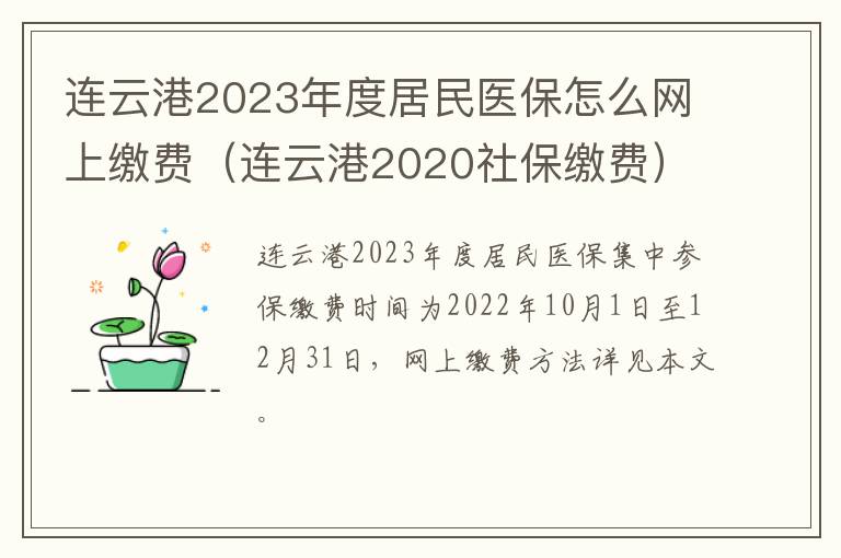 连云港2023年度居民医保怎么网上缴费（连云港2020社保缴费）