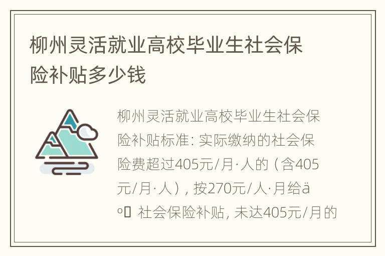 柳州灵活就业高校毕业生社会保险补贴多少钱