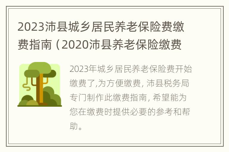 2023沛县城乡居民养老保险费缴费指南（2020沛县养老保险缴费标准）