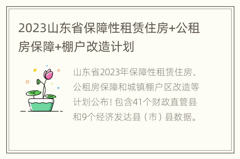 2023山东省保障性租赁住房+公租房保障+棚户改造计划