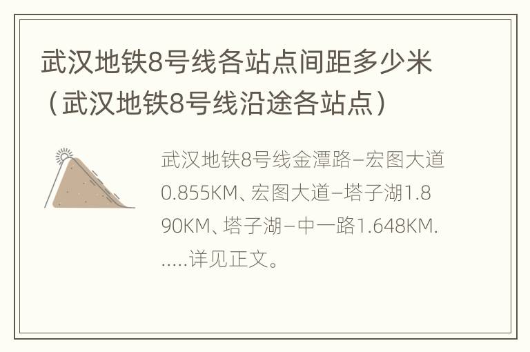 武汉地铁8号线各站点间距多少米（武汉地铁8号线沿途各站点）