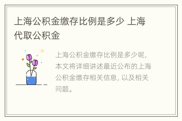 上海公积金缴存比例是多少 上海代取公积金