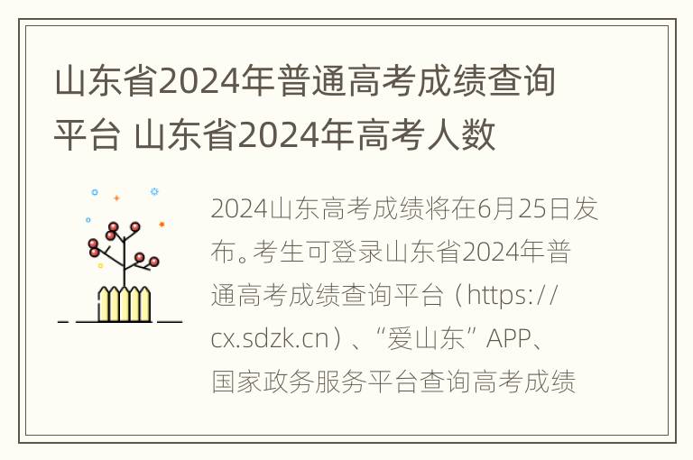 山东省2024年普通高考成绩查询平台 山东省2024年高考人数