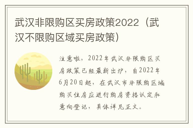 武汉非限购区买房政策2022（武汉不限购区域买房政策）