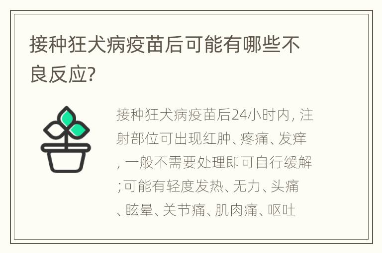 接种狂犬病疫苗后可能有哪些不良反应?