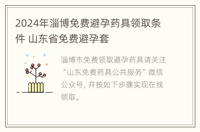 2024年淄博免费避孕药具领取条件 山东省免费避孕套