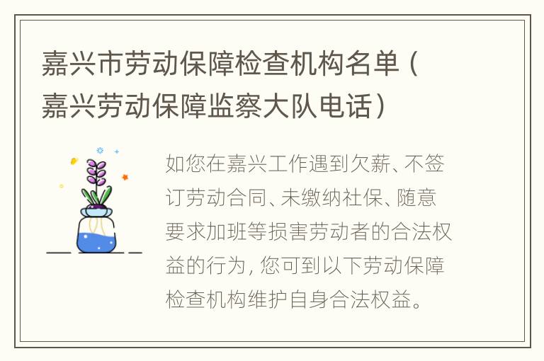 嘉兴市劳动保障检查机构名单（嘉兴劳动保障监察大队电话）