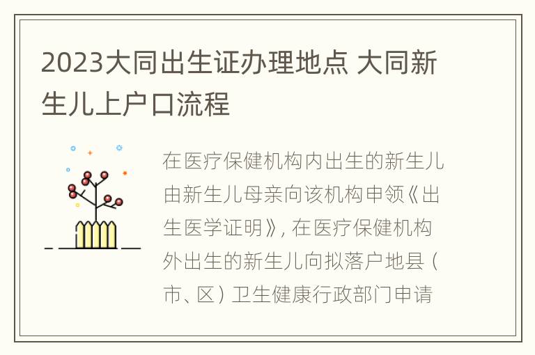 2023大同出生证办理地点 大同新生儿上户口流程