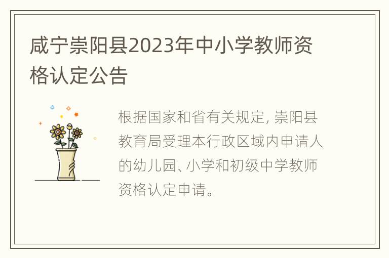 咸宁崇阳县2023年中小学教师资格认定公告