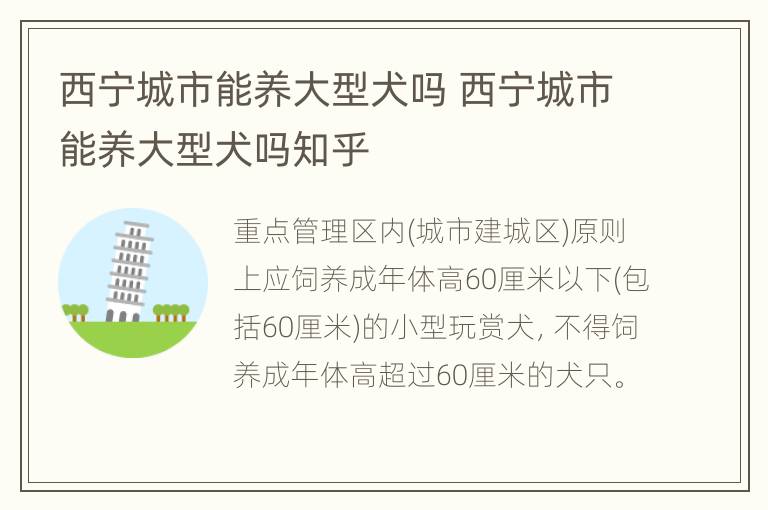 西宁城市能养大型犬吗 西宁城市能养大型犬吗知乎