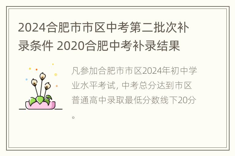 2024合肥市市区中考第二批次补录条件 2020合肥中考补录结果