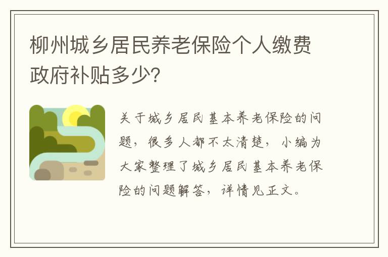 柳州城乡居民养老保险个人缴费政府补贴多少？