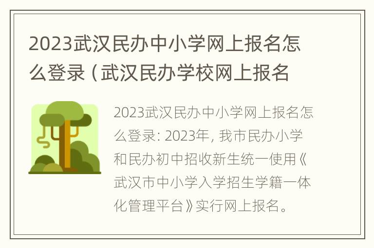 2023武汉民办中小学网上报名怎么登录（武汉民办学校网上报名）