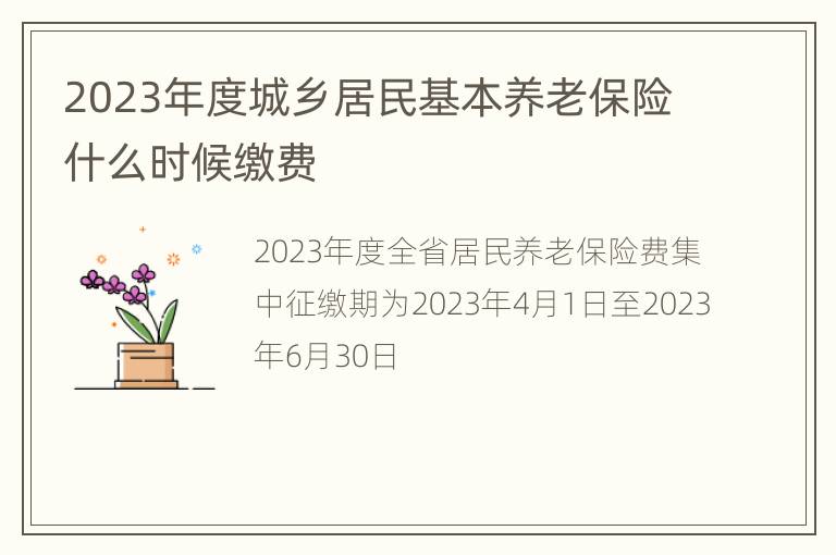 2023年度城乡居民基本养老保险什么时候缴费