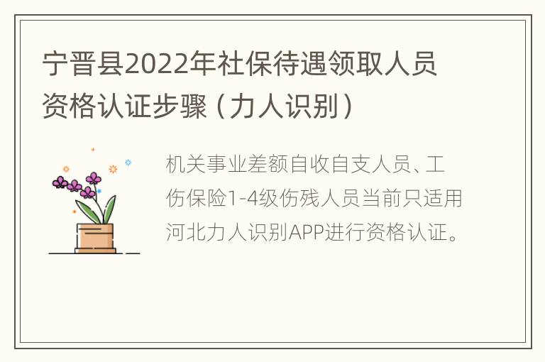 宁晋县2022年社保待遇领取人员资格认证步骤（力人识别）