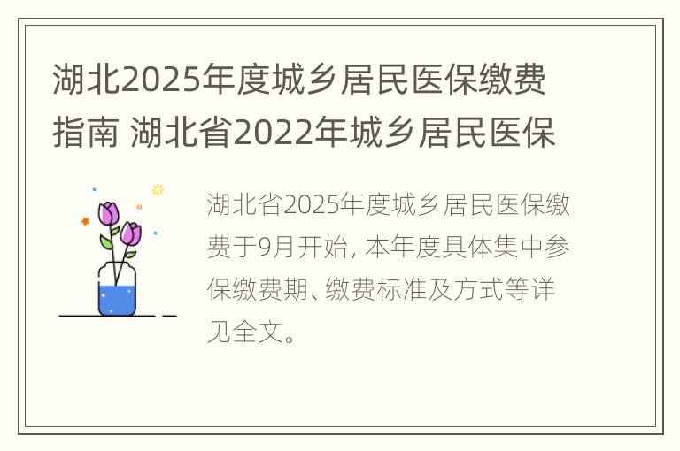 湖北2025年度城乡居民医保缴费指南 湖北省2022年城乡居民医保缴费