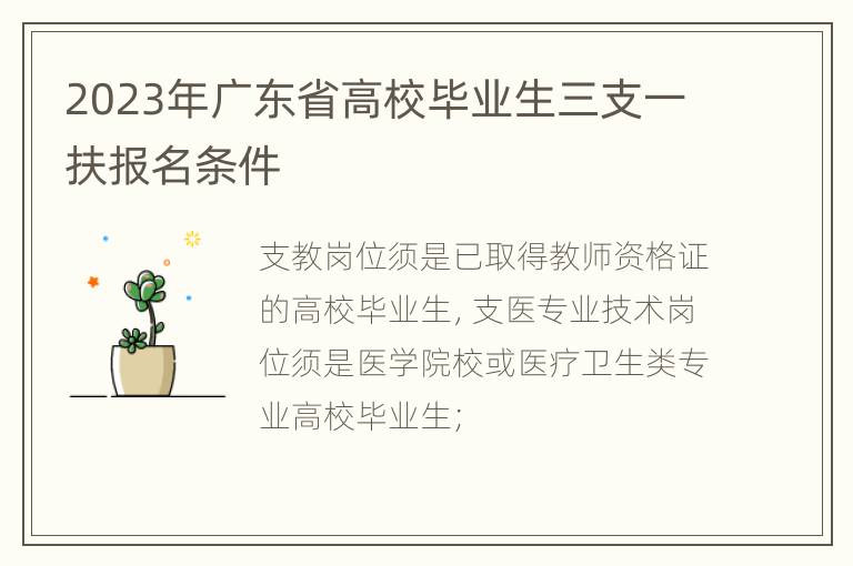 2023年广东省高校毕业生三支一扶报名条件