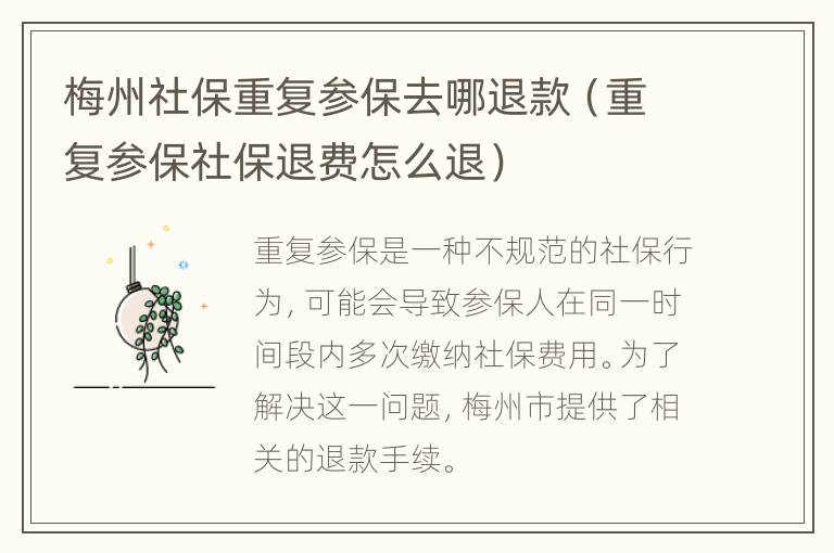 梅州社保重复参保去哪退款（重复参保社保退费怎么退）