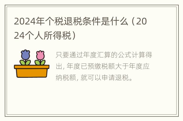 2024年个税退税条件是什么（2024个人所得税）