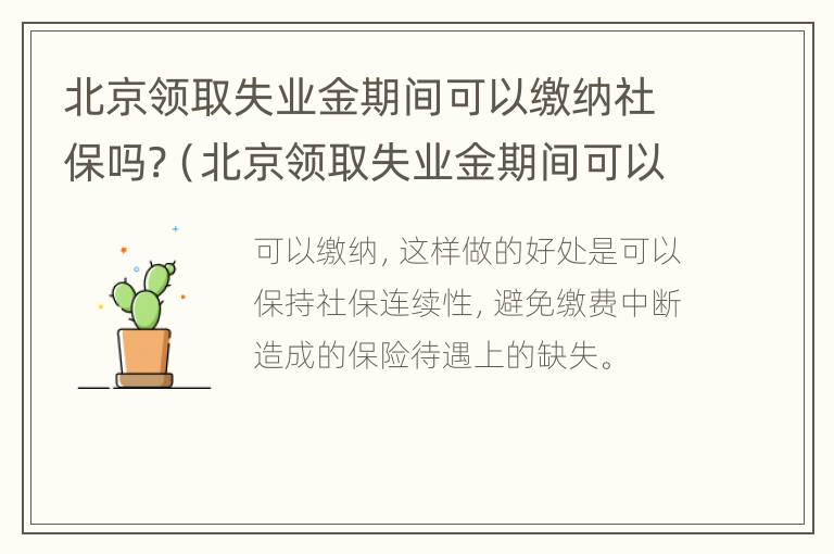 北京领取失业金期间可以缴纳社保吗?（北京领取失业金期间可以缴纳社保吗现在）