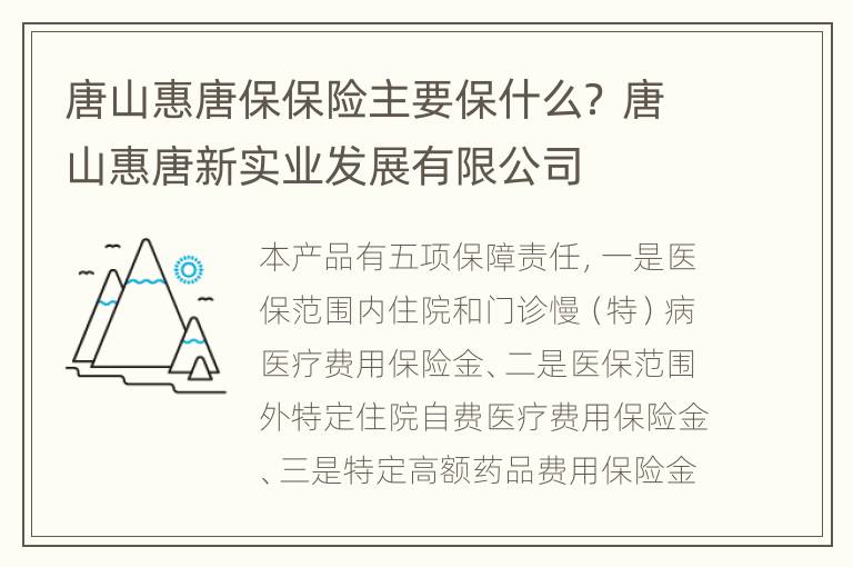 唐山惠唐保保险主要保什么？ 唐山惠唐新实业发展有限公司