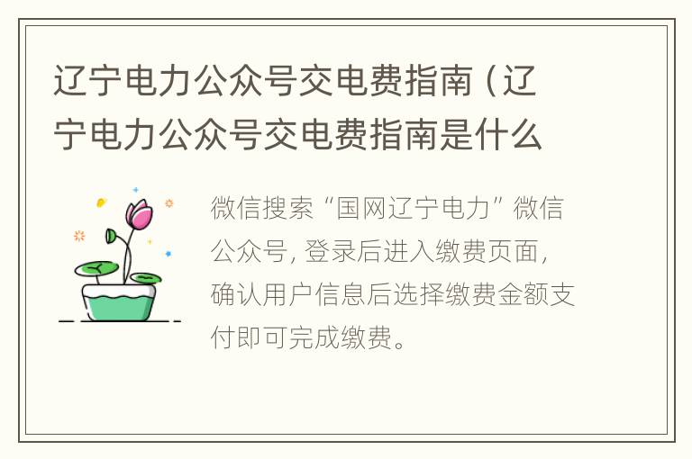 辽宁电力公众号交电费指南（辽宁电力公众号交电费指南是什么）