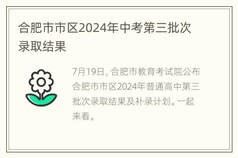 合肥市市区2024年中考第三批次录取结果