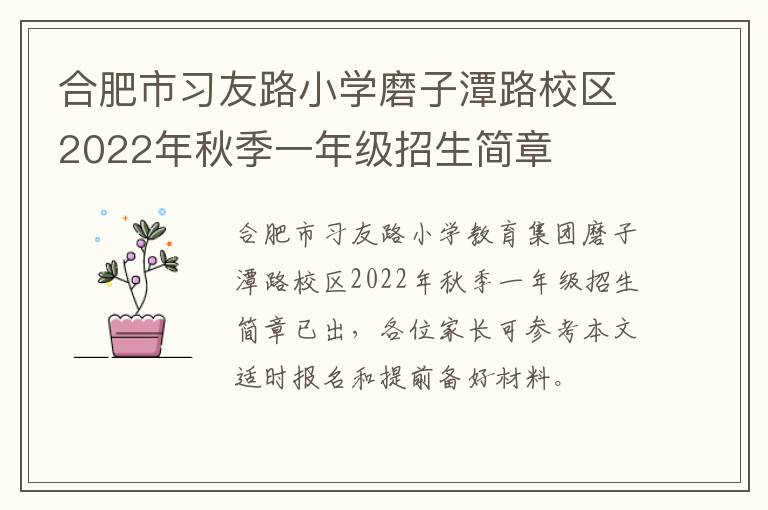 合肥市习友路小学磨子潭路校区2022年秋季一年级招生简章