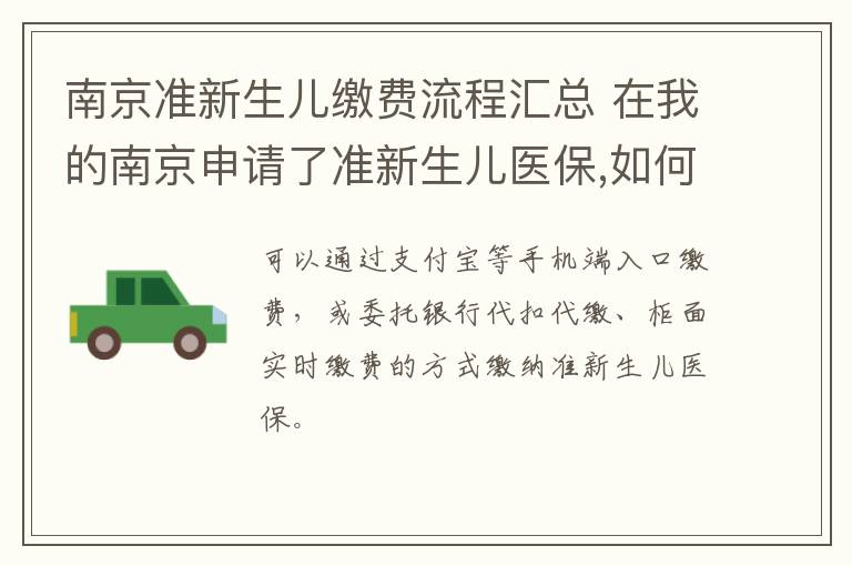 南京准新生儿缴费流程汇总 在我的南京申请了准新生儿医保,如何缴费