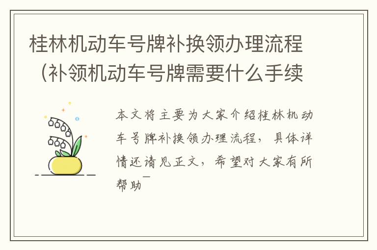 桂林机动车号牌补换领办理流程（补领机动车号牌需要什么手续）