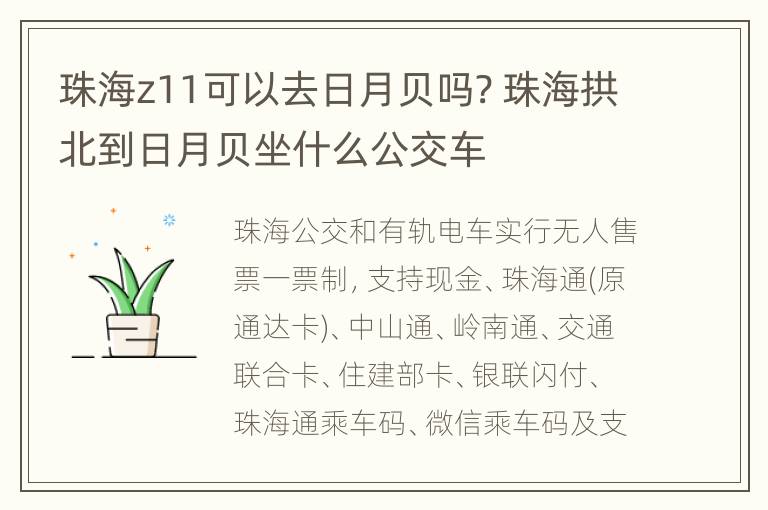 珠海z11可以去日月贝吗? 珠海拱北到日月贝坐什么公交车