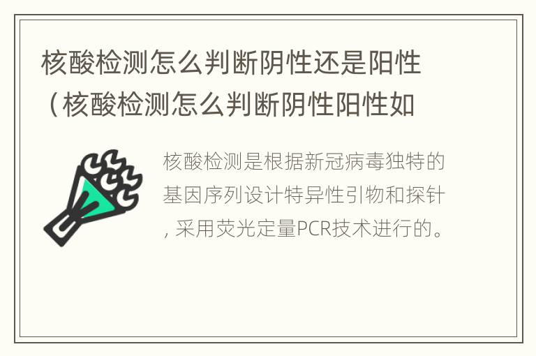 核酸检测怎么判断阴性还是阳性（核酸检测怎么判断阴性阳性如果是其他病毒）