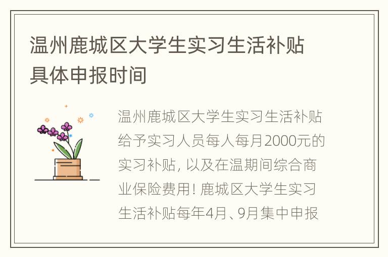 温州鹿城区大学生实习生活补贴具体申报时间