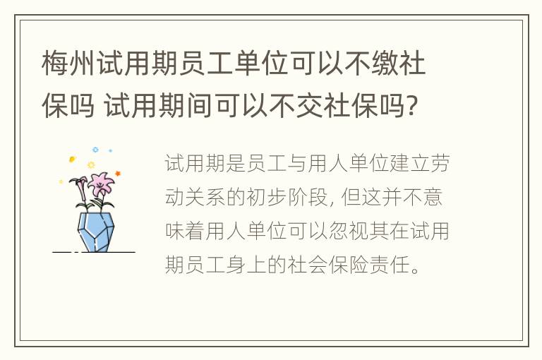 梅州试用期员工单位可以不缴社保吗 试用期间可以不交社保吗?