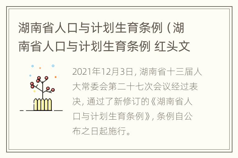 湖南省人口与计划生育条例（湖南省人口与计划生育条例 红头文件）