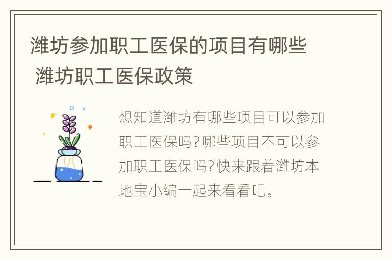 潍坊参加职工医保的项目有哪些 潍坊职工医保政策