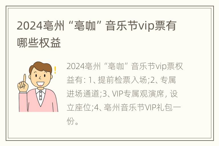 2024亳州“亳咖”音乐节vip票有哪些权益