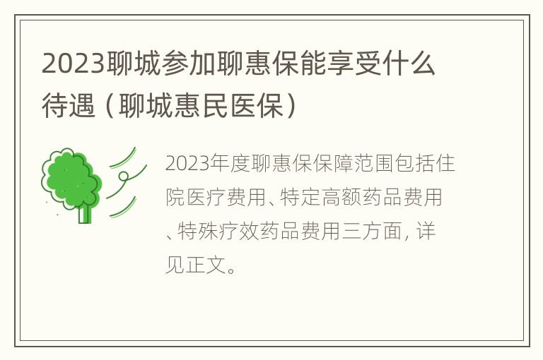 2023聊城参加聊惠保能享受什么待遇（聊城惠民医保）