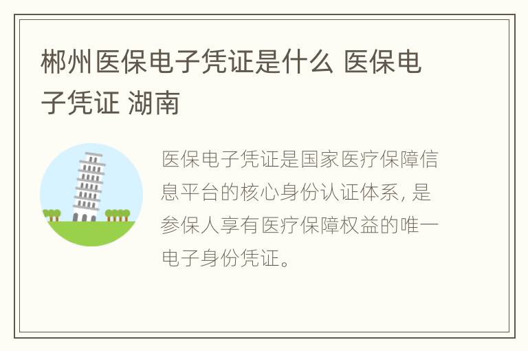 郴州医保电子凭证是什么 医保电子凭证 湖南