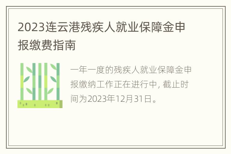 2023连云港残疾人就业保障金申报缴费指南