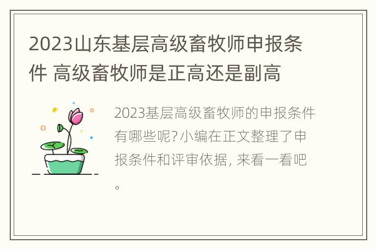 2023山东基层高级畜牧师申报条件 高级畜牧师是正高还是副高