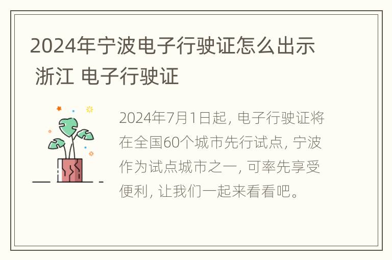 2024年宁波电子行驶证怎么出示 浙江 电子行驶证