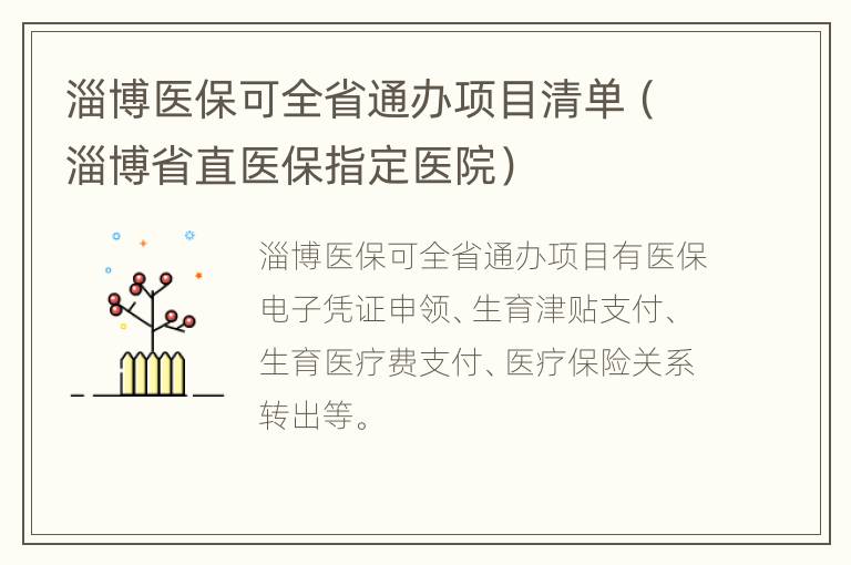 淄博医保可全省通办项目清单（淄博省直医保指定医院）