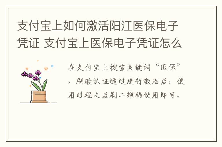 支付宝上如何激活阳江医保电子凭证 支付宝上医保电子凭证怎么激活