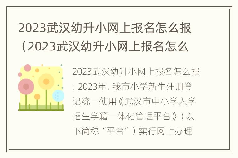 2023武汉幼升小网上报名怎么报（2023武汉幼升小网上报名怎么报名）