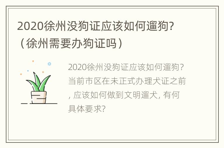 2020徐州没狗证应该如何遛狗？（徐州需要办狗证吗）