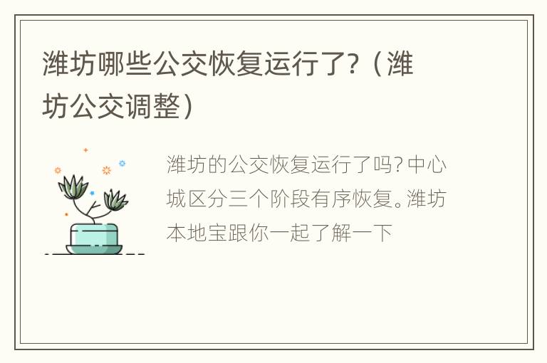 潍坊哪些公交恢复运行了？（潍坊公交调整）